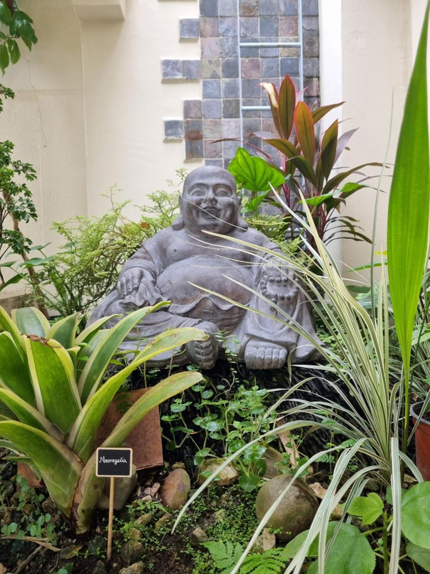 Hostal Bodhi *